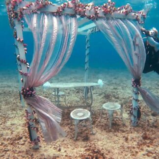 Snokeling y Buceo en la Habana